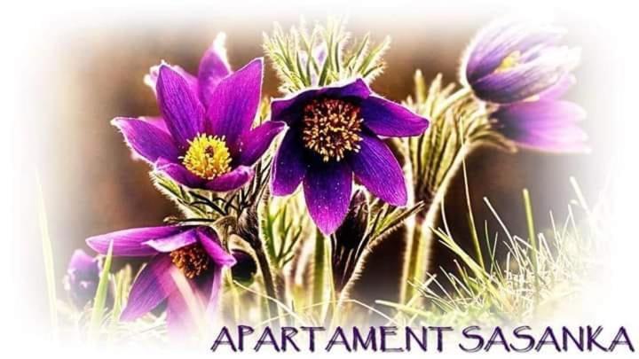 Apartament Sasanka โควารี ภายนอก รูปภาพ